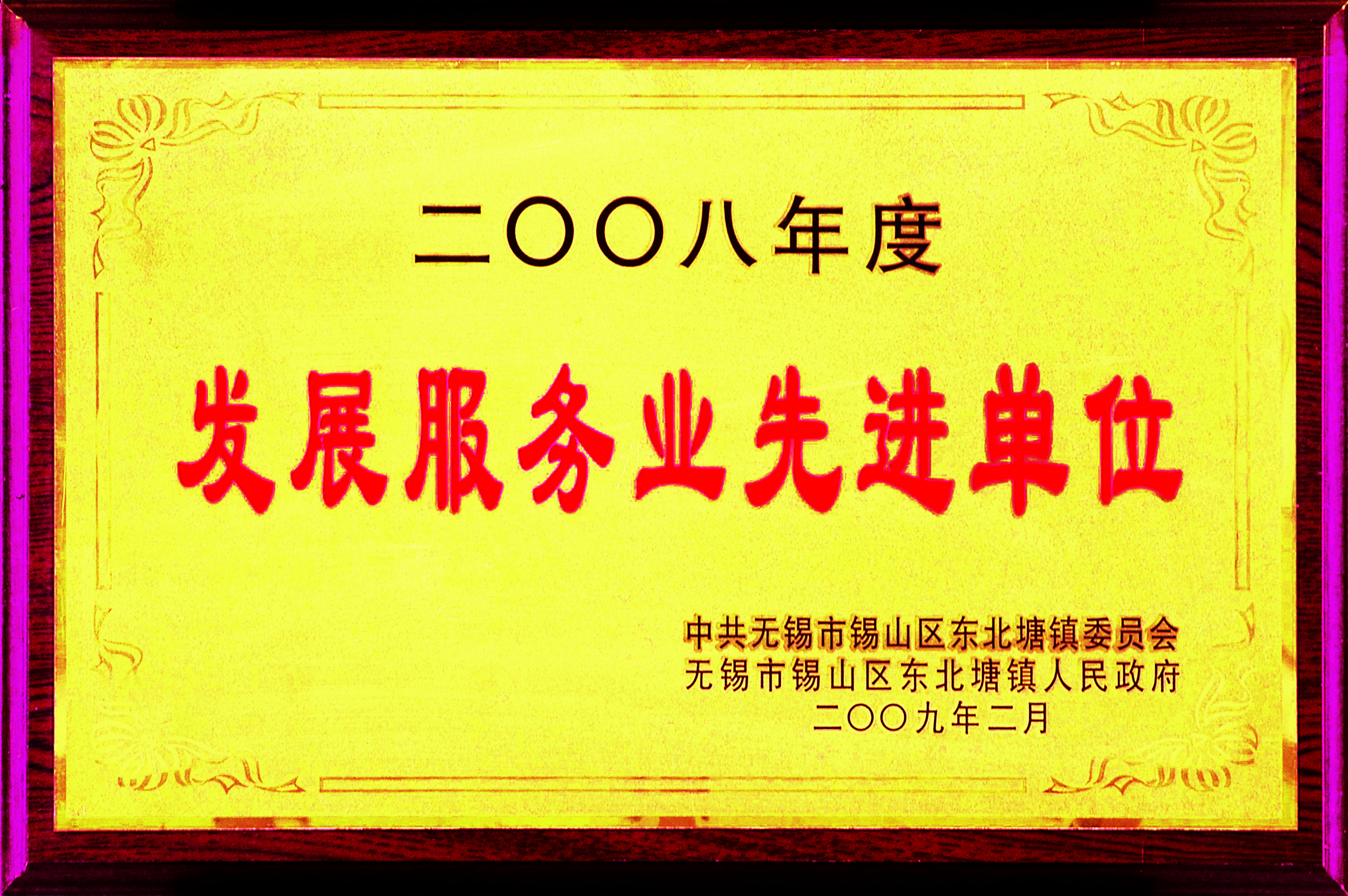 2008年?yáng)|北塘鎮(zhèn)發(fā)展服務(wù)業(yè)先進(jìn)單位